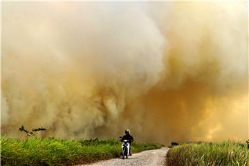 INDONESIA WILD FIRE