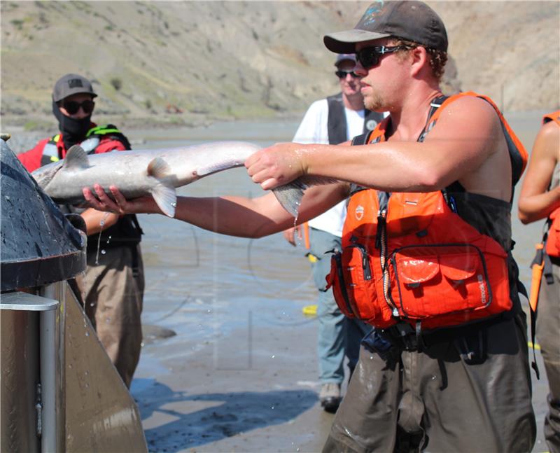 CANADA LANDSLIDE TRAPPED SALMON