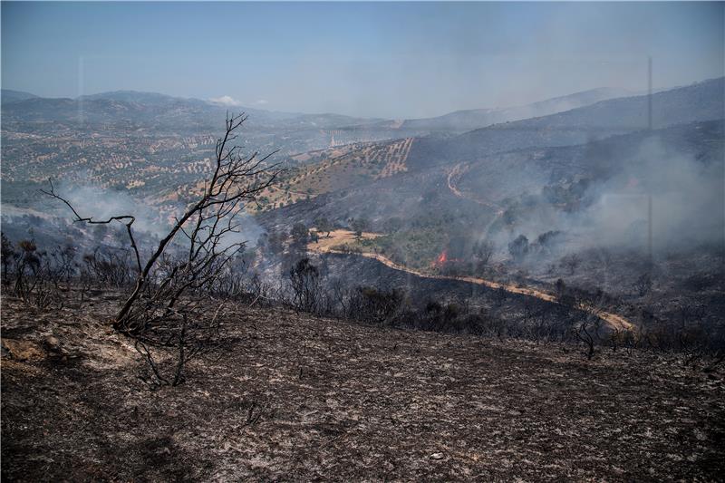 Požari bjesne na grčkoj Eubeji, dim se proširio i Atenom 