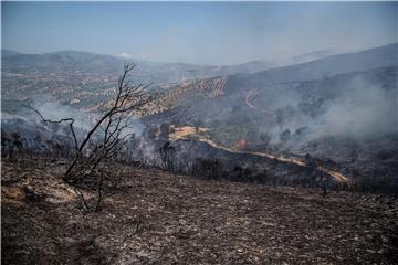 Požari bjesne na grčkoj Eubeji, dim se proširio i Atenom 