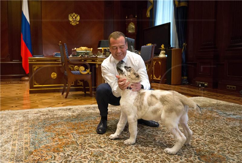 RUSSIA TURKMENISTAN MEDVEDEV PUPPY DIPLOMACY