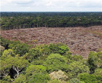 BRAZIL ENVIRONMENT DEFORESTATION