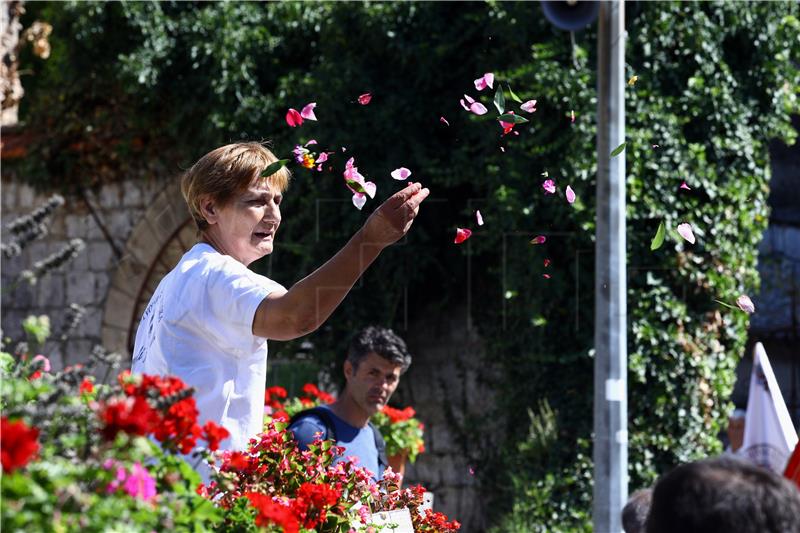 Svetkovina Velike Gospe u Sinju, u procesiji sa slikom Čudotvorne Gospe Sinjske i Plenković