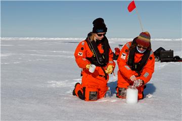 ARCTIC MICROPLASTIC SNOW POLLUTION