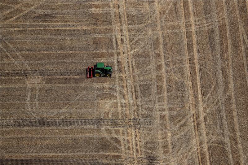 (FILE) GERMANY AGRICULTURE