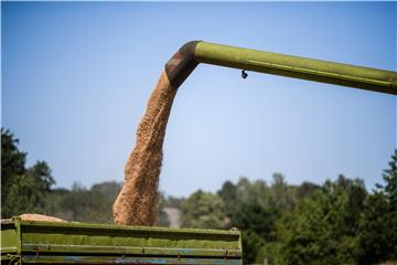 (FILE) GERMANY AGRICULTURE