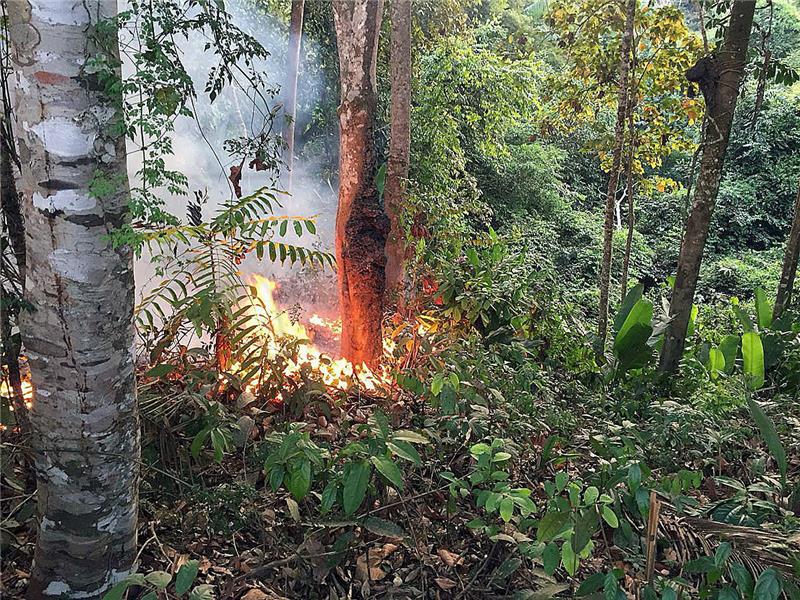 BRAZIL FIRES