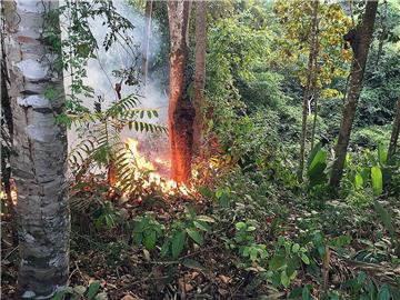 BRAZIL FIRES