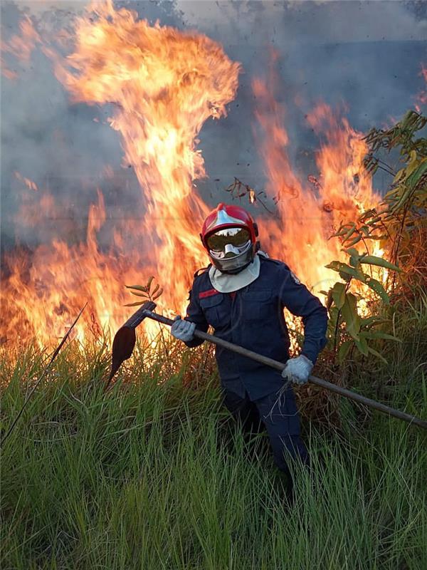 BRAZIL FIRES