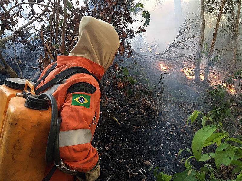 BRAZIL FIRES