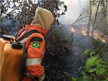 BRAZIL FIRES