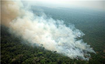 BRAZIL FOREST FIRE