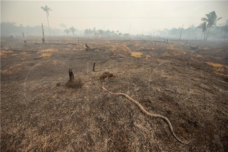 BRASIL AMAZON FIRES