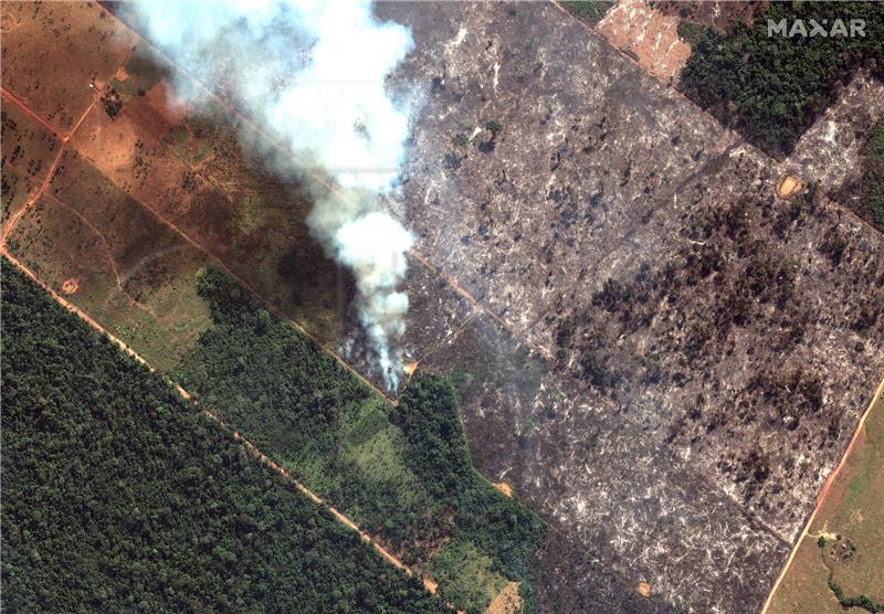 BRAZIL AMAZON FIRES