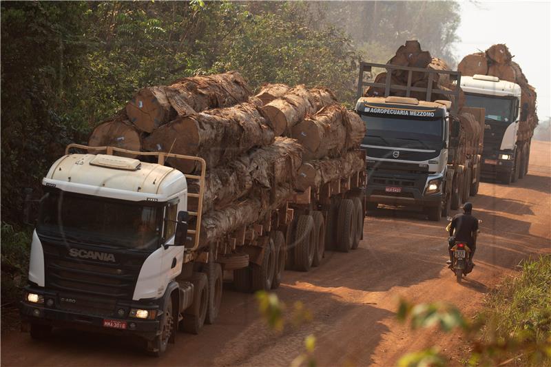 BRAZIL AMAZON FIRES