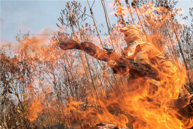 BRAZIL AMAZON FIRES