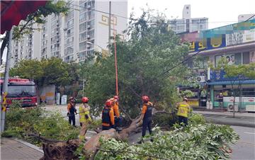 SOUTH KOREA WEATHER TYPHOON LINGLING