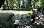 Zagreb's Maksimir Park celebrating 225th anniversary