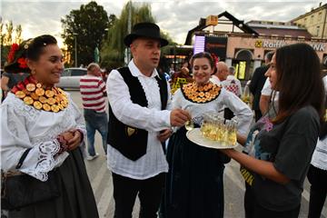 U sklopu uvodnih manifestacija 54. Vinkovačkih jeseni započeli Dani Slovenije u Slavoniji