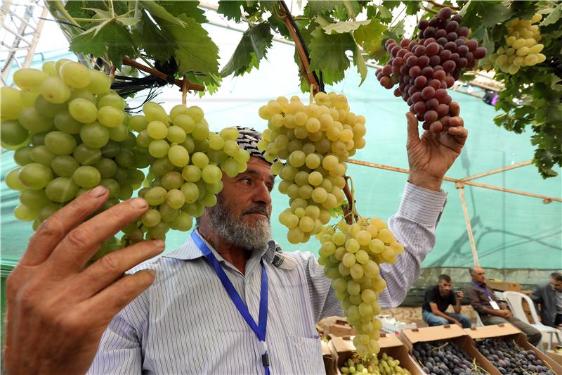 MIDEAST PHOTO SET PALESTINIANS HEBRON WINE