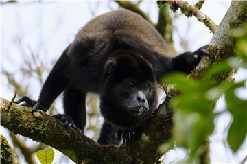 COSTA RICA BIODIVERSITY