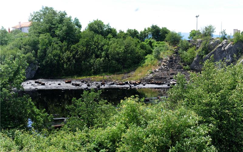 "Zelena čistka" u Hrvatskoj u sklopu Svjetskog dana čišćenja