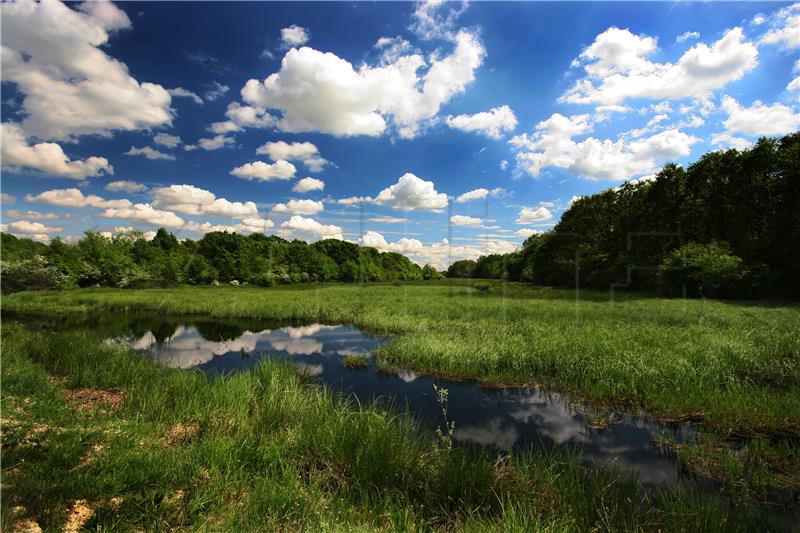 UNESCO-u poslana nominacija za Petodržavni rezervat biosfere Mura-Drava-Dunav