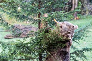 Međunarodni dan timaritelja u petak u zagrebačkom ZOO-u