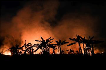 BRAZIL AMAZON