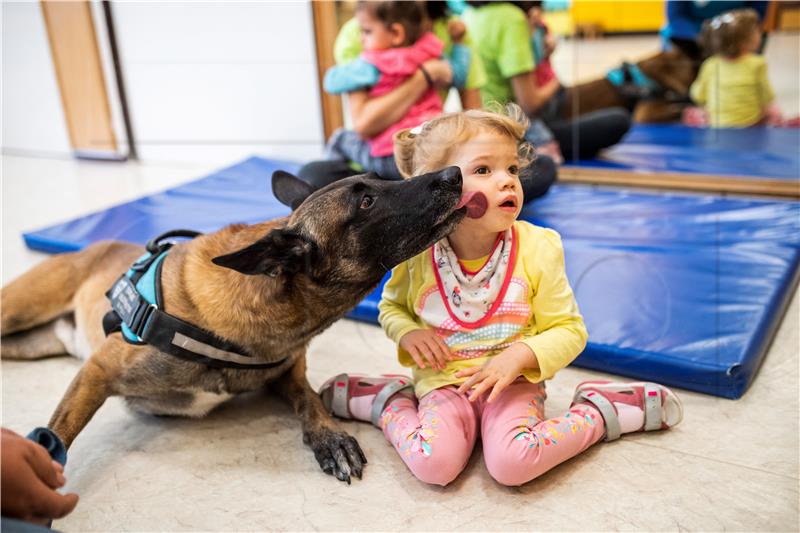 Rescue dog Zen, the world's best rescue dog