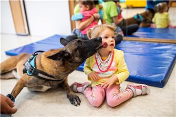 Rescue dog Zen, the world's best rescue dog