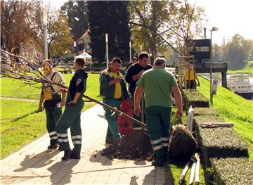 U Sisku u jednom danu zasađeno 145 stabala