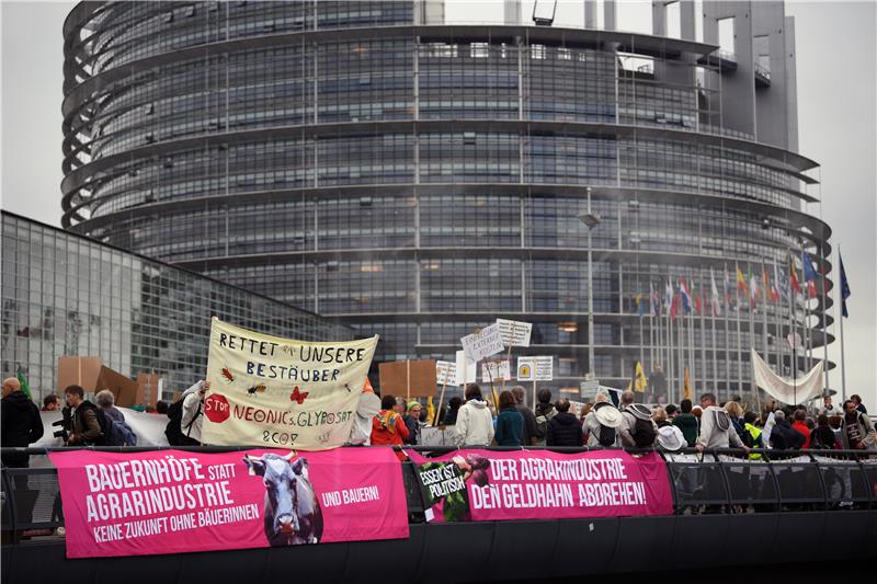 FRANCE EUROPEAN PARLIAMENT