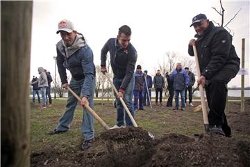 U Osječko-baranjskoj županiji velika akcija sadnje drveća