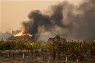 USA NORTHERN CALIFORNIA WILDFIRE