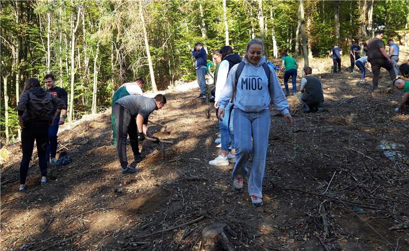 U Hrvatskoj počela trodnevna akcija "Zasadi drvo, ne budi panj"