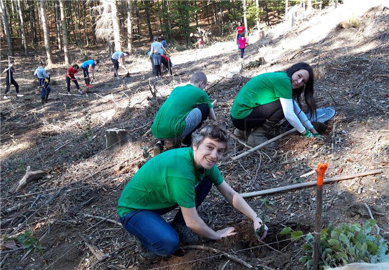 U Hrvatskoj počela trodnevna akcija "Zasadi drvo, ne budi panj"