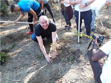 U Hrvatskoj počela trodnevna akcija "Zasadi drvo, ne budi panj"