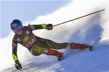 AUSTRIA ALPINE SKIING WORLD CUP