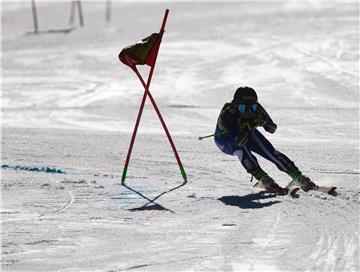 AUSTRIA ALPINE SKIING WORLD CUP