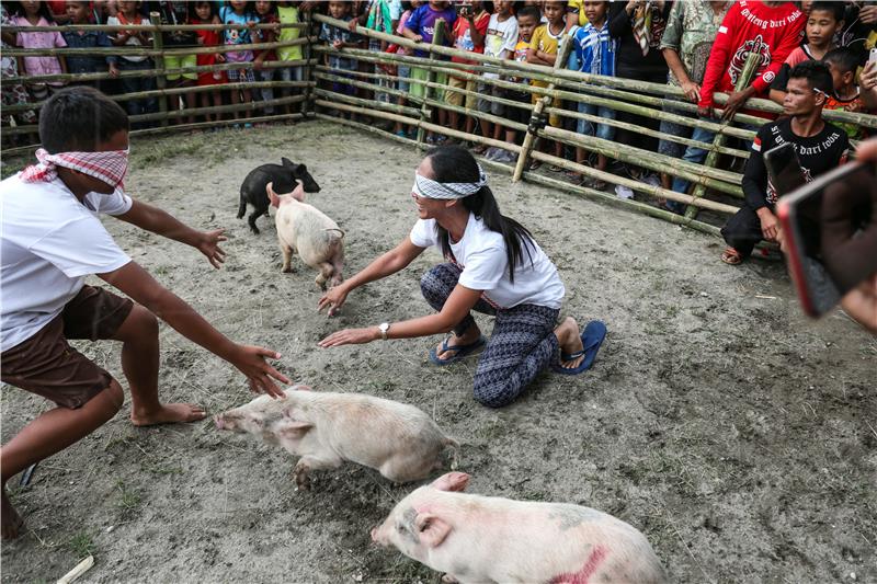 INDONESIA PHOTO SET PORK FESTIVAL