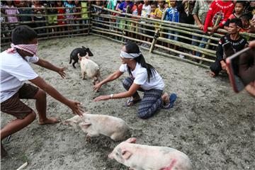 INDONESIA PHOTO SET PORK FESTIVAL