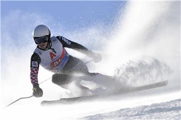 AUSTRIA ALPINE SKIING WORLD CUP