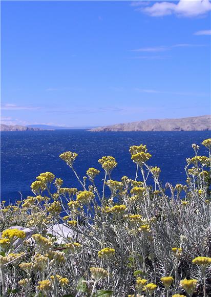 Conference on karst demographic revitalisation and biodiversity held in Sibenik