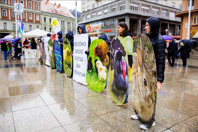 Svjetski dan veganstva: Prijatelji životinja poručuju da nijedna životinja ne želi u klaonicu