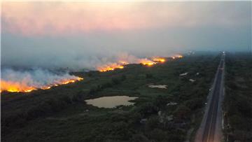 BRAZIL AMAZON FIRES