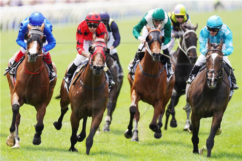 AUSTRALIA HORSE RACING MELBOURNE CUP