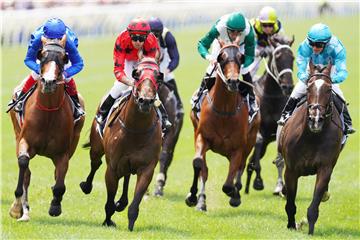 AUSTRALIA HORSE RACING MELBOURNE CUP