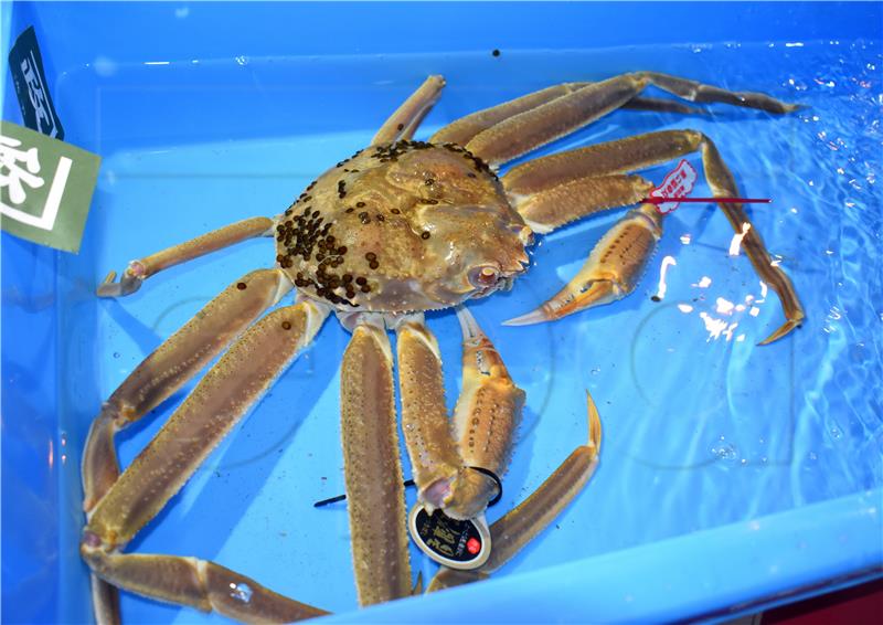 JAPAN CRAB RECORD AUCTION