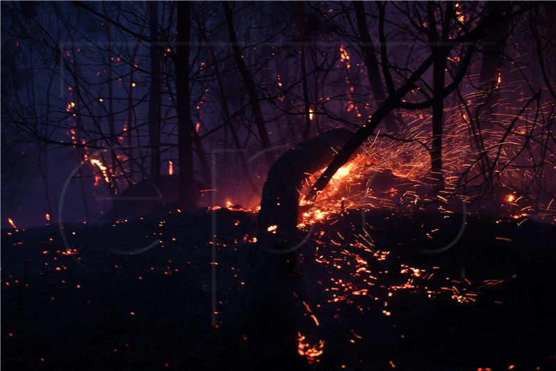 AUSTRALIA BUSHFIRES